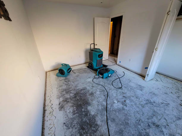 Best Residential water damage restoration  in Whitewater, WI