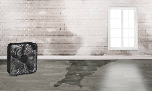 Best Emergency water damage restoration  in Whitewater, WI